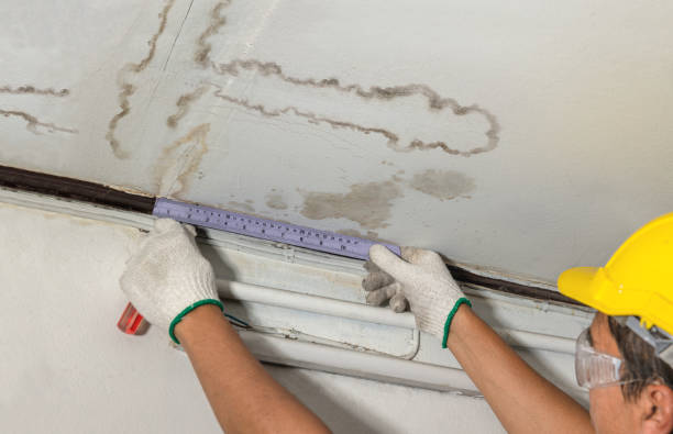 Reliable Mold Remediation contractor in Kendall Park, NJ by Water Damage Irwin